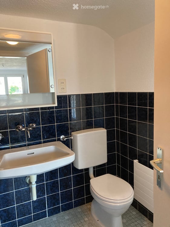 Charmante und zentrale 3-Zimmer-Altbauwohnung in Guntershausen b. Aadorf 5