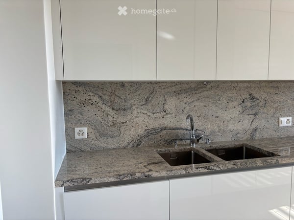 Spacious 1.5-Room Apartment with Balcony and Stunning Views facing Parc La Grange 5