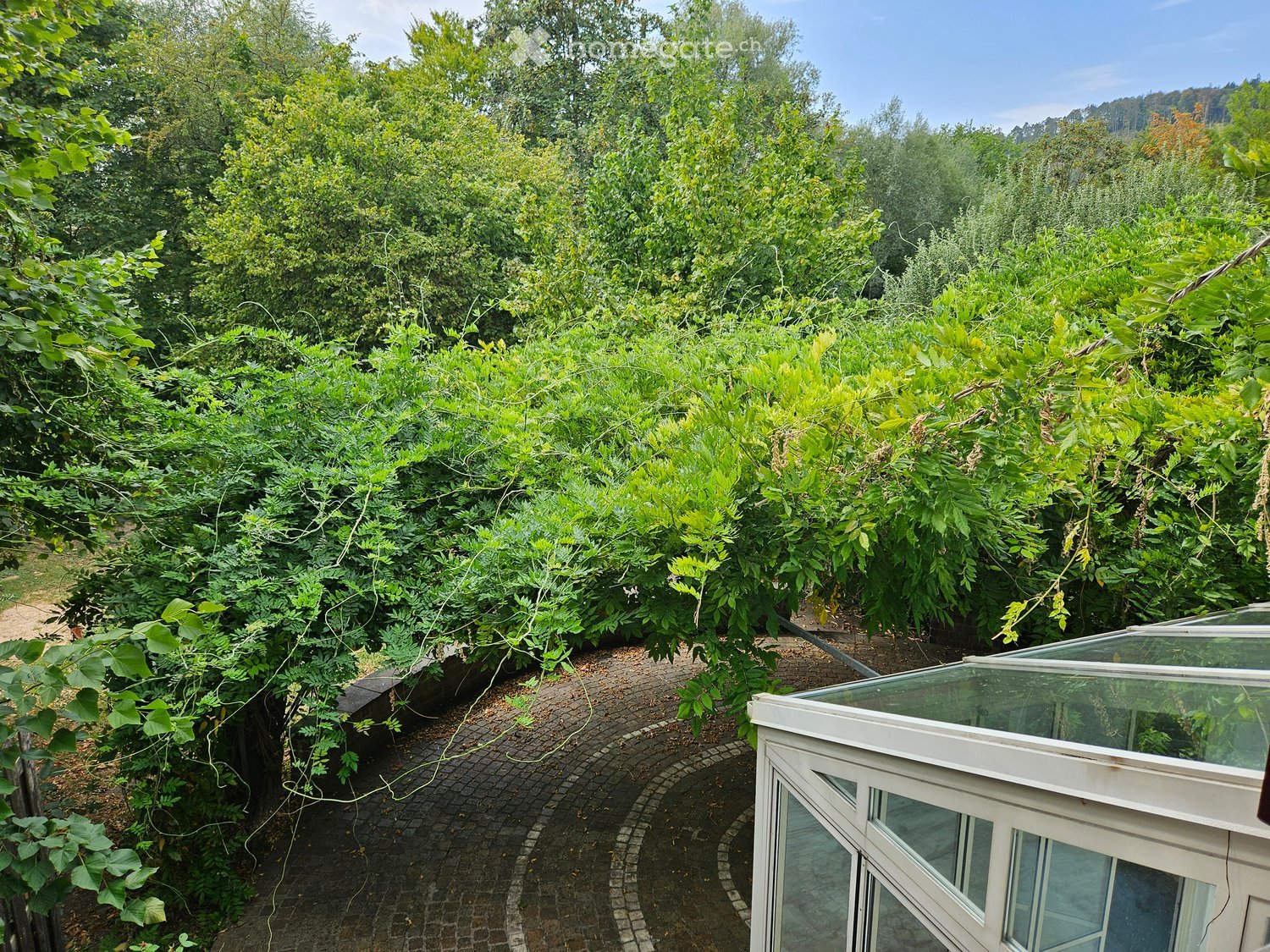 A lush garden area with dense green foliage, a curved brick pathway, and a small glass-enclosed structure, likely a greenhouse or conservatory, on the right side.