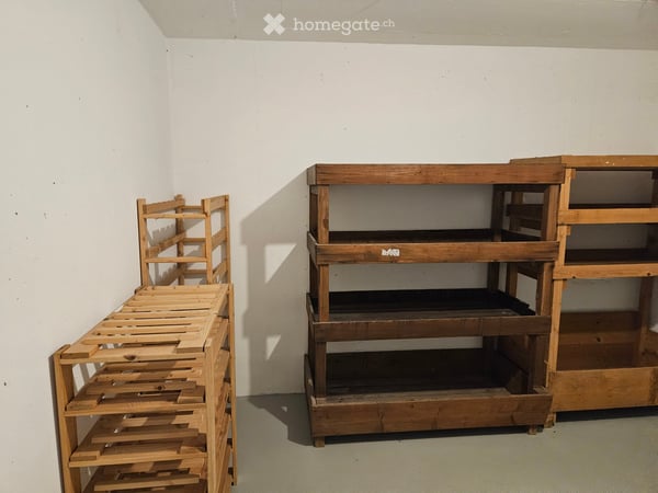 Charmantes 6-Zimmer-Zweifamilienhaus in Zwingen – ruhige Lage mit schöner Aussicht 3