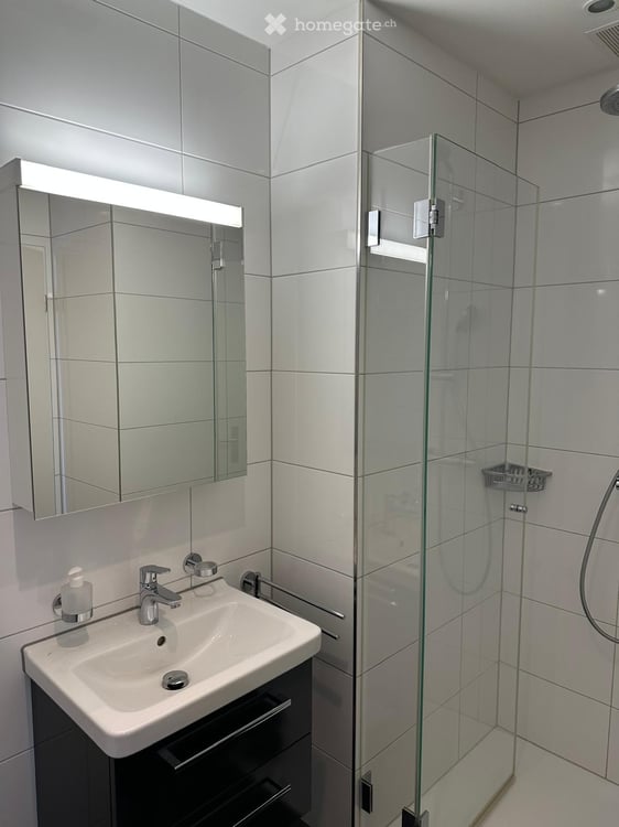 Wunderschöne, attraktive 4.5-Zimmer-Dachwohnung mit toller Aussicht in Biel-Benken BL 11