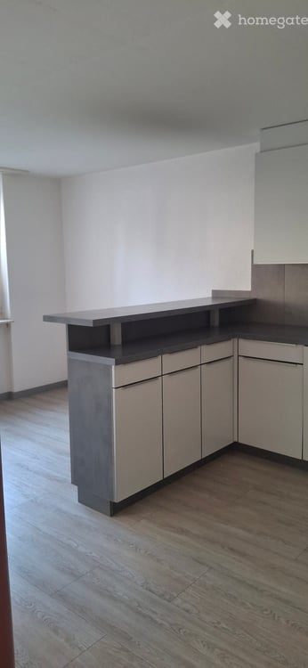 Bel appartement de 4 pièces au rez-de-chaussée avec terrasse couverte 3