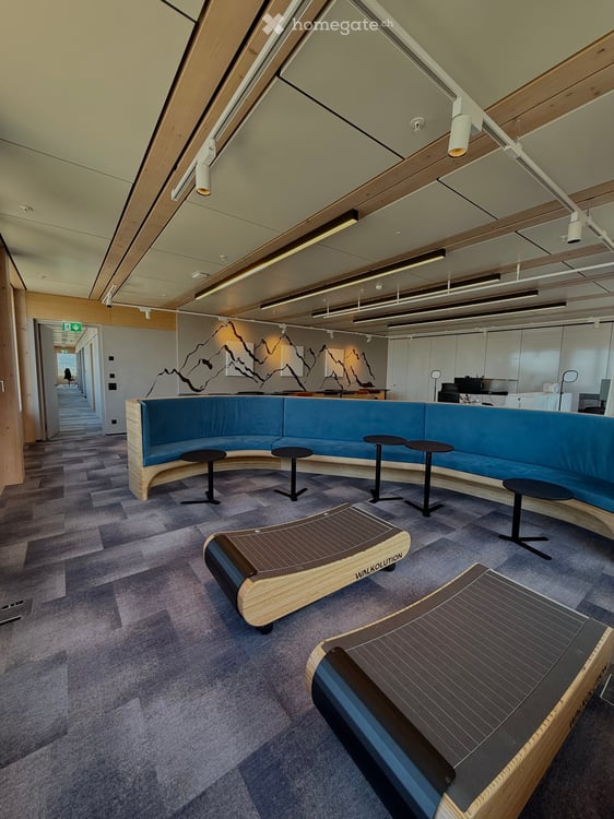 Coworking/Mitnutzung Bürofläche in Rotkreuz 3