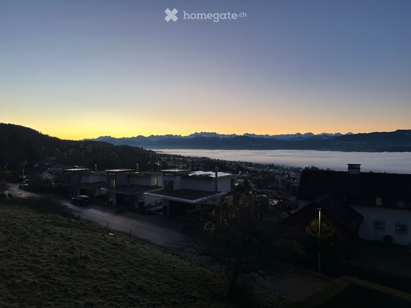 Spacious 8-Room Family Home with Lake Views in Uetikon am See 6
