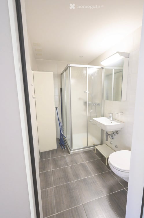 Helle 3.5-Zimmer-Wohnung mit Loggia und Cheminée im Dahlienpark in Unterengstringen 12