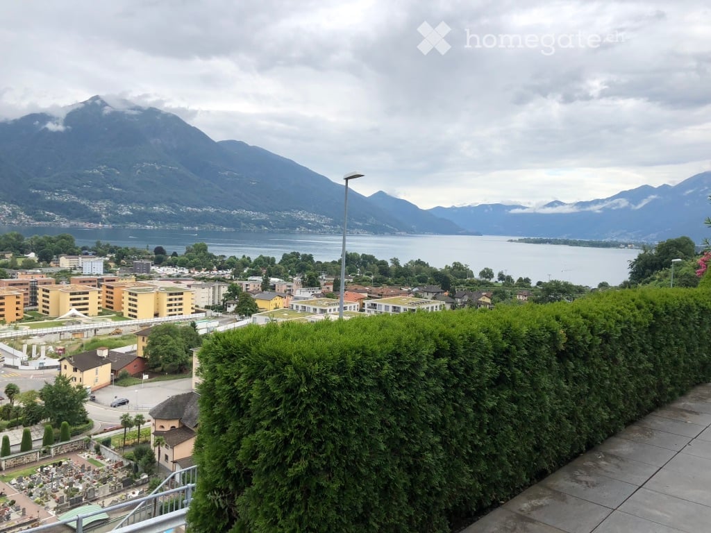 large green hedge, view of city, mountains, lake