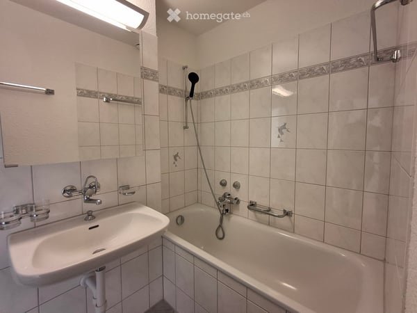Helle und geräumige 4-Zimmerwohnung in Zürich Schwamendingen per sofort zu mieten 9