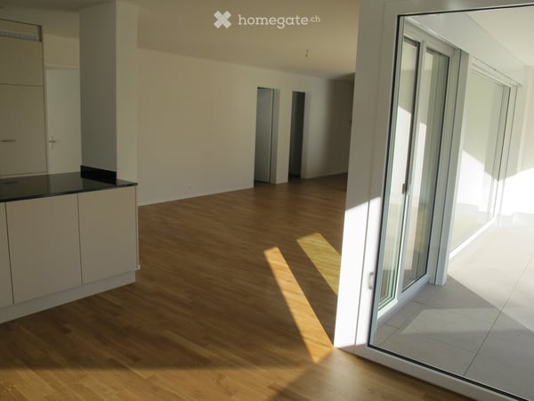 Ruhige Wohnung mit grosser Terrasse und Sicht auf den Pilatus 10