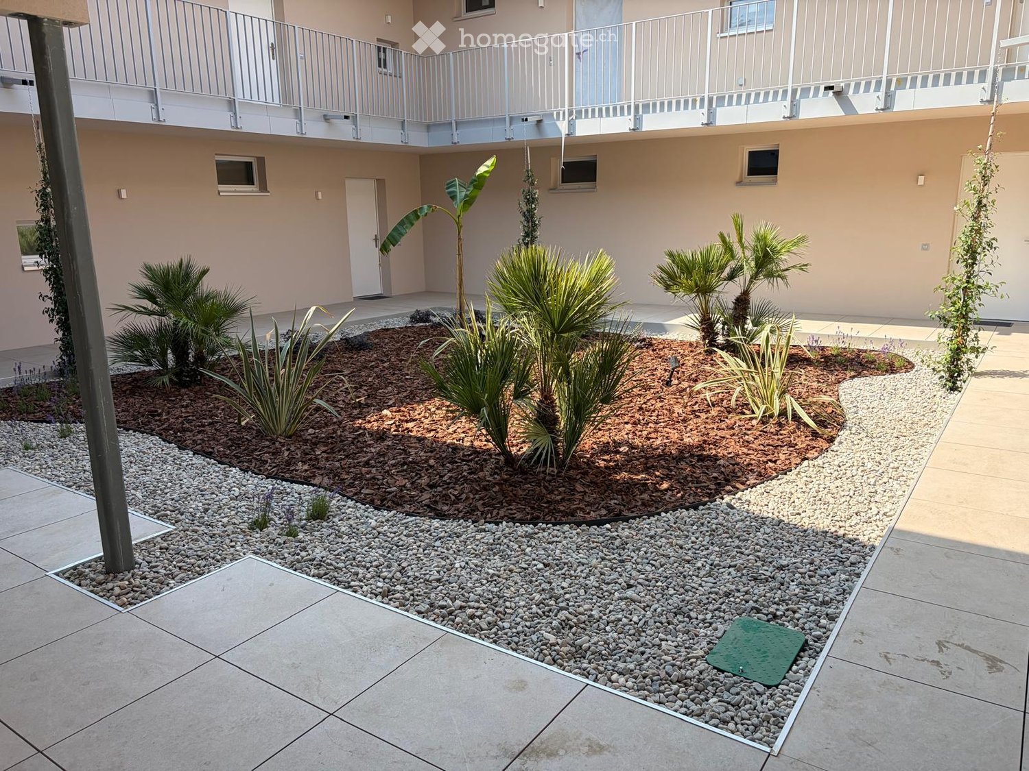 Courtyard with small palm trees, gravel, and a raised balcony level above.