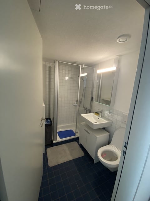 schöne 2.5 Zimmer-Wohnung in Seebach mit grossem Sitzplatz 6