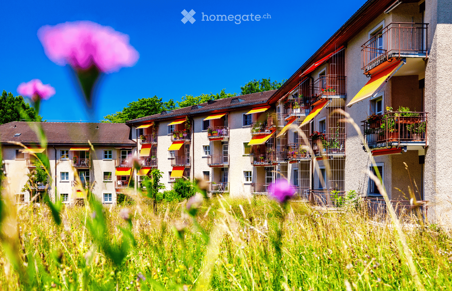 Multi-story residential building with balconies, awnings, and potted plants, surrounded by green grass and wildflowers.