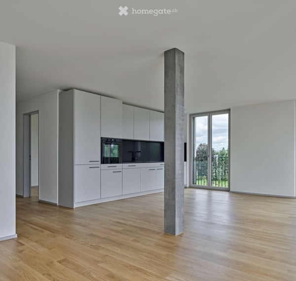 Beautiful 1 bed apartment for rent in leafy Allenmoos, Zürich