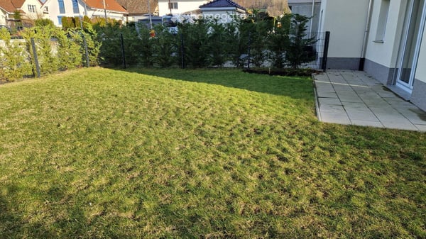 Moderne Wohnung mit eingezäuntem grossen Garten (Hund erlaubt) 15