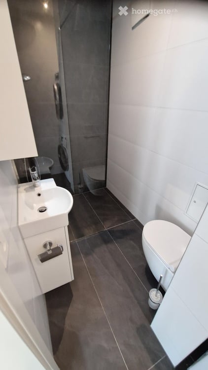 Moderne Wohnung mit eingezäuntem grossen Garten (Hund erlaubt) 11