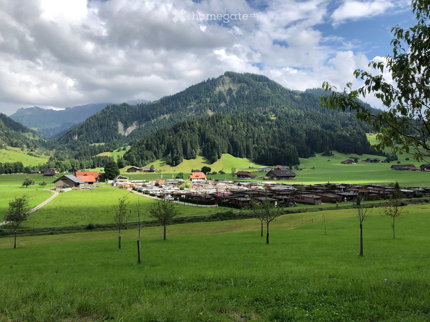 A picturesque village nestled in a lush green valley surrounded by mountains. The village features traditional wooden houses with red roofs, scattered across the landscape. The foreground shows a grassy field with scattered trees, while the background inc