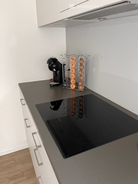 Moderne 2.5-Zimmer-Wohnung in Dietikon 6