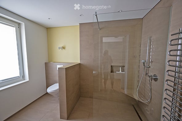 Helle 3.5-Zimmer-Dachwohnung mit Balkon in Speicher AR 11