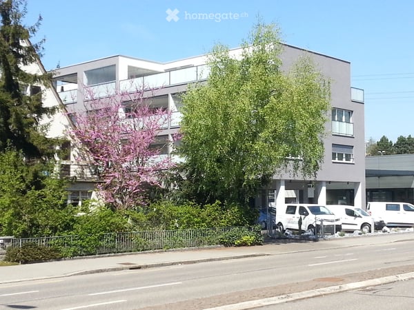 Helle 3.5-Zimmer-Wohnung mit Balkon in Dübendorf – verfügbar ab Oktober 2026 13