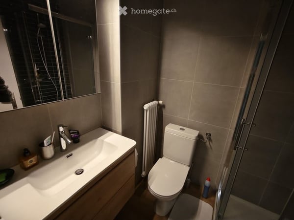 Appartement de 2 pièces à Gland 5