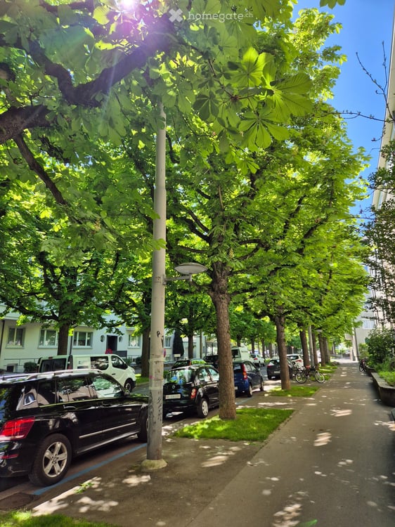 Charmante 2.5-Zimmer-Altbauwohnung mit Balkon in Basel 3