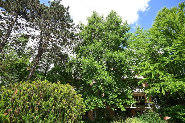 Attraktive 6-Zimmer-Dachwohnung-Maisonettewohnung mit Balkon im Gellert 19