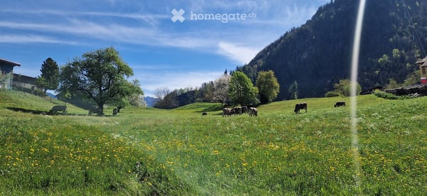 Romantica: Serviced Swiss Mountain Home with panoramic Walensee & Churfirsten views 11