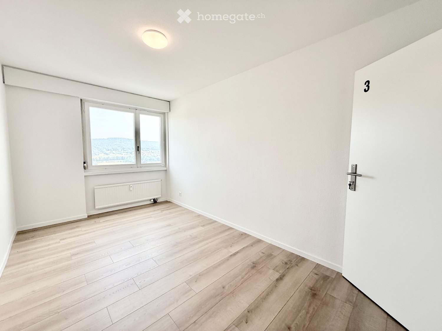 Empty room with light wooden flooring, white walls, a large window with a scenic view, and a radiator below the window.