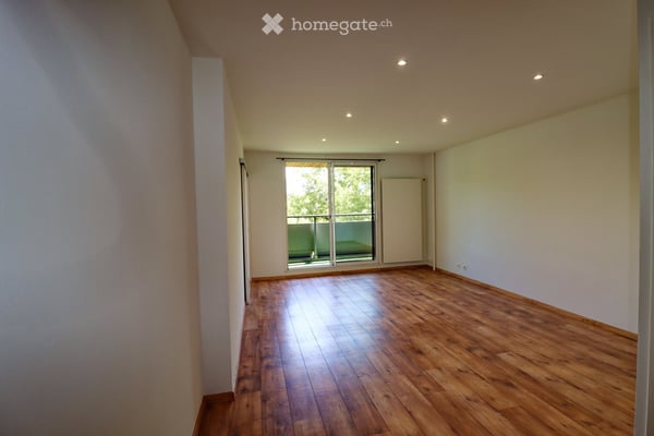 Spacieux et lumineux appartement