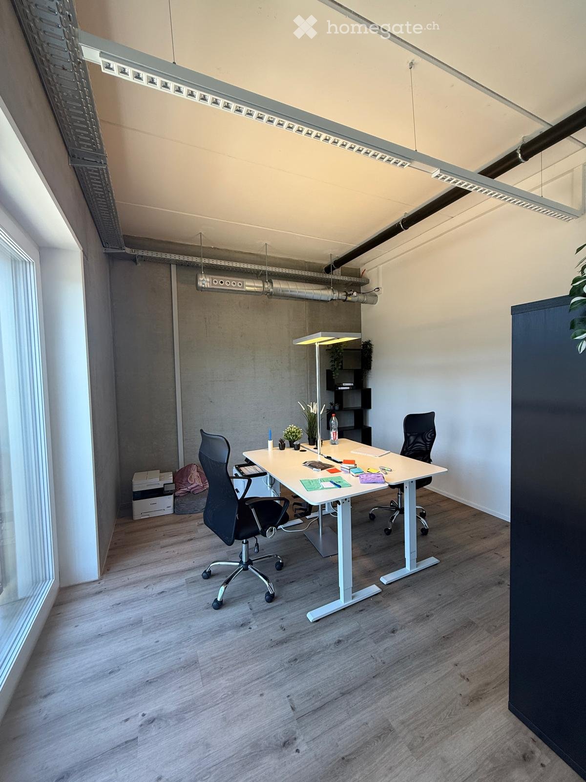 Modern office space with wooden flooring, large windows, a standing desk with two chairs, a small plant, and a lamp.