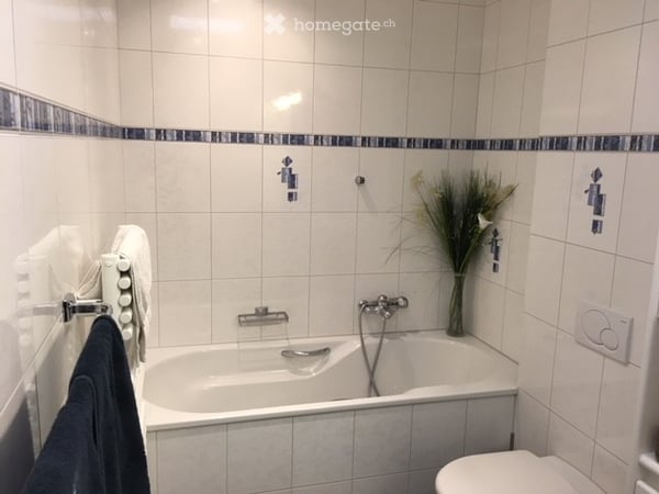 Attraktive 4.5-Zimmer-Attikawohnung an der Rychenbergstrasse 164 in Winterthur mit Weitblick 7