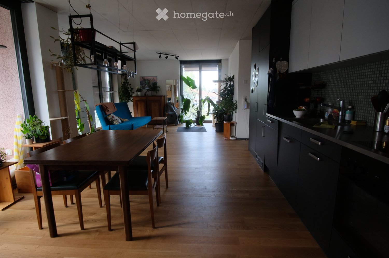 {"type": "Furnished Room", "objects": ["dining table", "chair", "sofa", "kitchen cabinet", "kitchen counter", "kitchen sink", "kitchen stove", "kitchen refrigerator", "kitchen dishwasher", "kitchen microwave", "kitchen toaster", "kitchen kettle", "kitchen