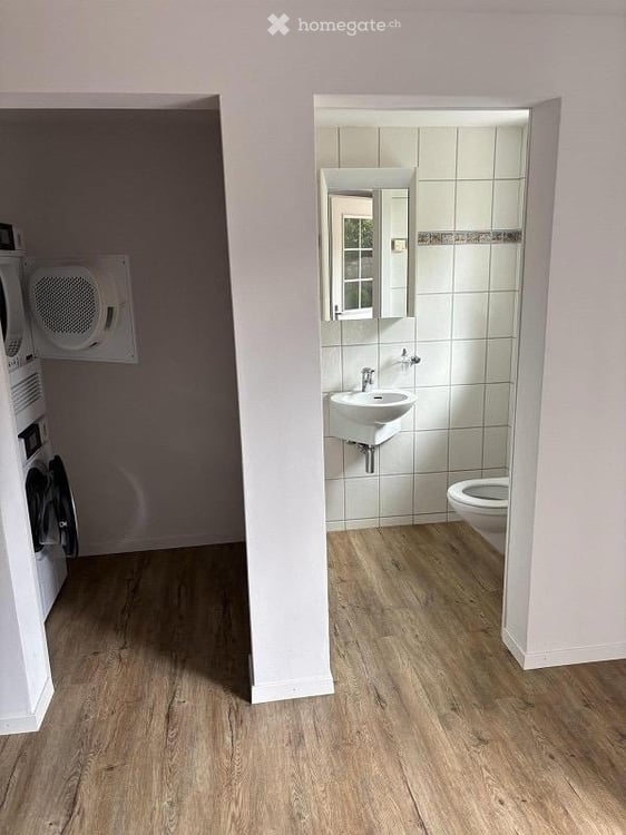 Geräumiges 6.5-Zimmer-Zweifamilienhaus in Wangen SZ 26