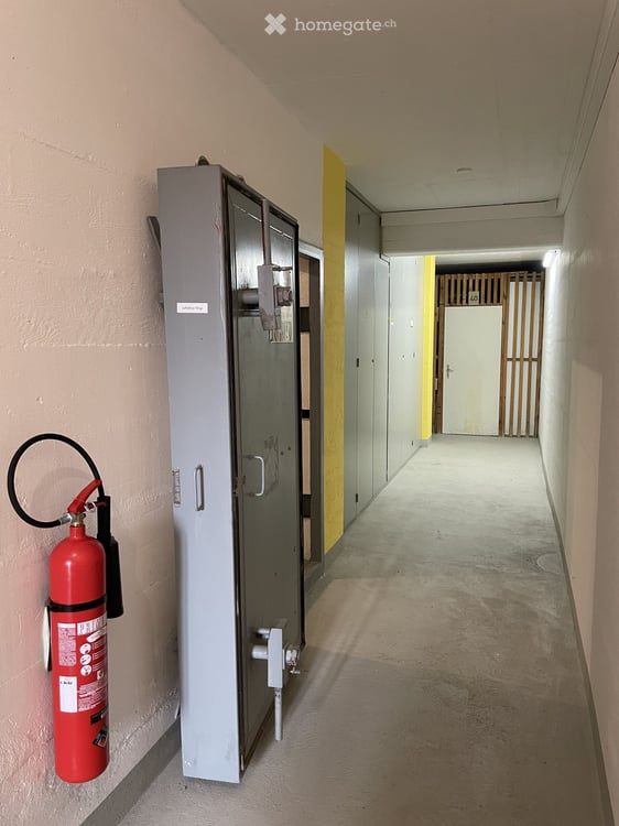 3.5-Zimmer-Ferienwohnung mit spektakulärer Panoramasicht auf den Lago Maggiore 16