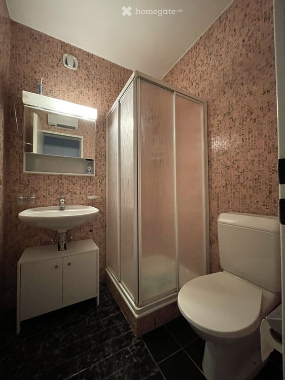 3.5-Zimmer-Ferienwohnung mit spektakulärer Panoramasicht auf den Lago Maggiore 10