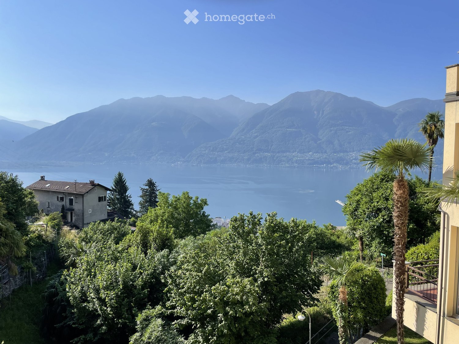 A scenic outdoor view overlooking a lake with surrounding mountains, featuring lush greenery and palm trees.