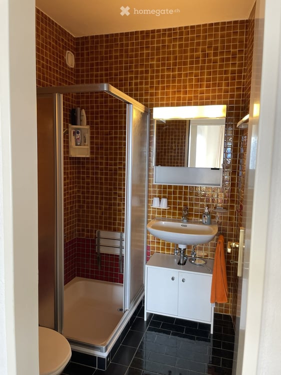 3.5-Zimmer-Ferienwohnung mit spektakulärer Panoramasicht auf den Lago Maggiore 9