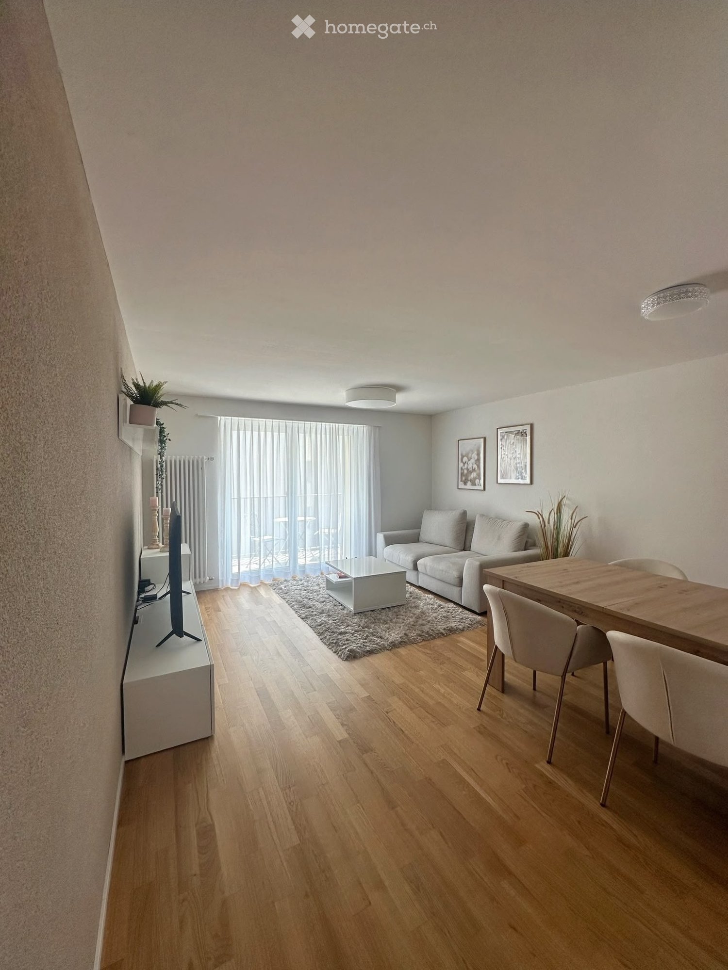 Modern living room with wooden flooring, white sofa, coffee table, dining table with chairs, TV stand, and decorative plants.