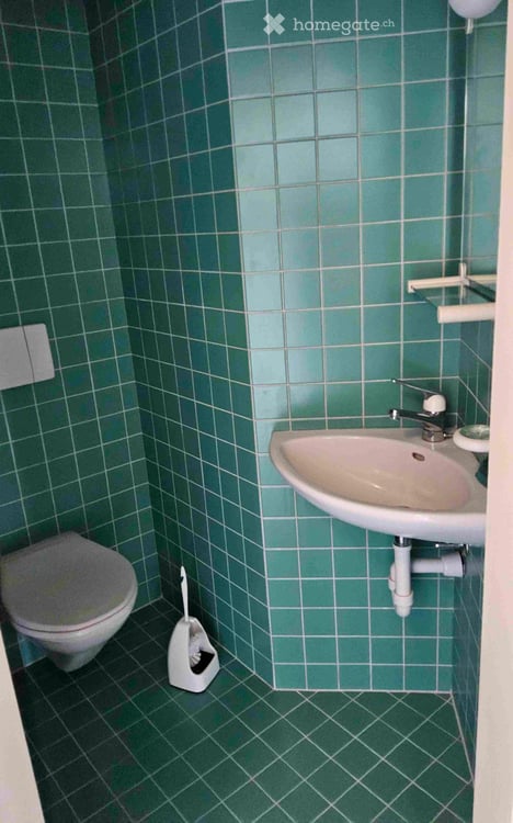 Grosses 4.5 Zimmer Doppeleinfamilienhaus in Rudolfstetten 18