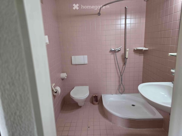 Grosses 4.5 Zimmer Doppeleinfamilienhaus in Rudolfstetten 7
