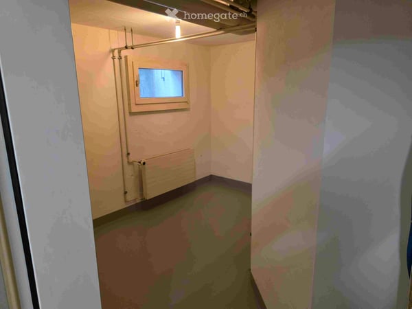 Grosses 4.5 Zimmer Doppeleinfamilienhaus in Rudolfstetten 21