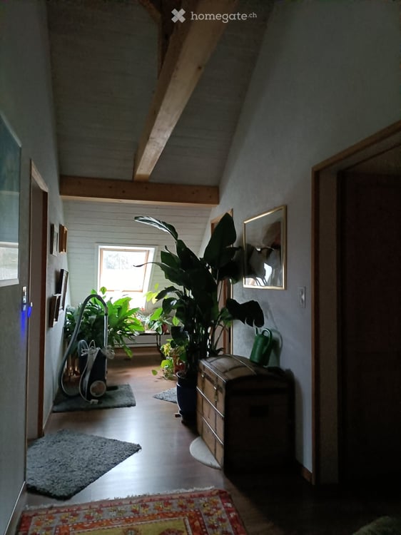 Colocation dans une maison en pleine campagne 3