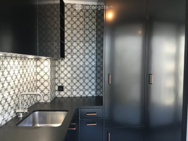 Appartement d'architecte de 4 pièces central, avec terrasse, belle vue et magnifique jardin arboré. 6