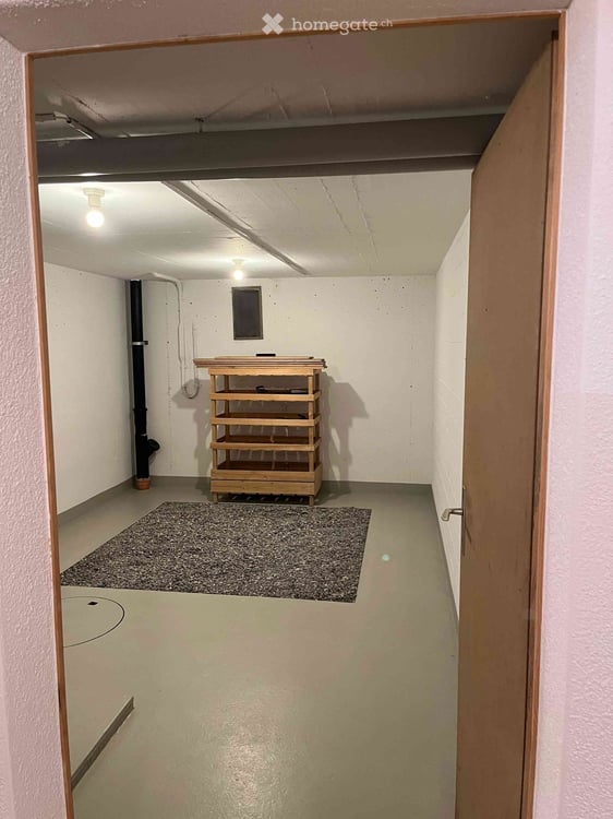 Charmantes 6-Zimmer-Einfamilienhaus mit Wintergarten und Garten in Fehraltorf 11