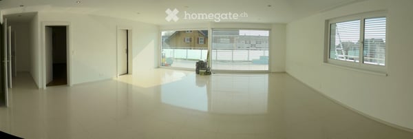 3.5-Zimmer Attika mit privatem Lift und grosser Terrasse - zum Tausch