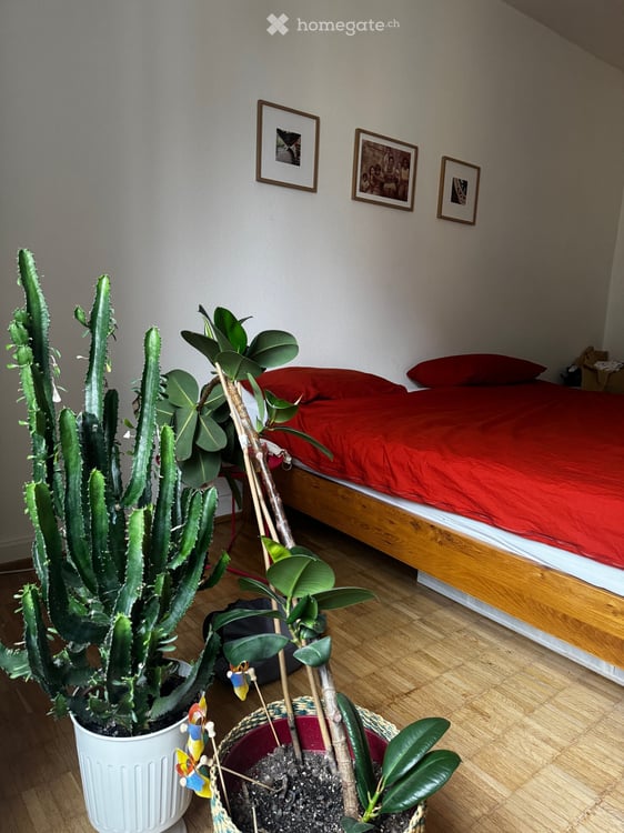 Furnished 2-room apartment in vibrant Kreis 4 – available immediately 3