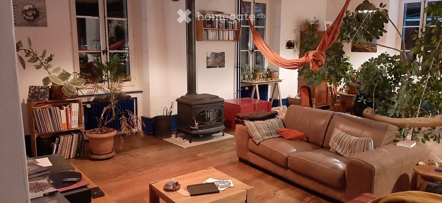 Cozy living room with a leather sofa, coffee table, fireplace, bookshelf, and hanging hammock. The room features wooden flooring and large windows with plants.