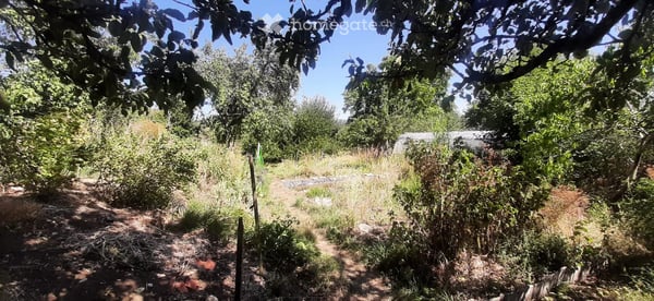 Appartement à Baulmes 21