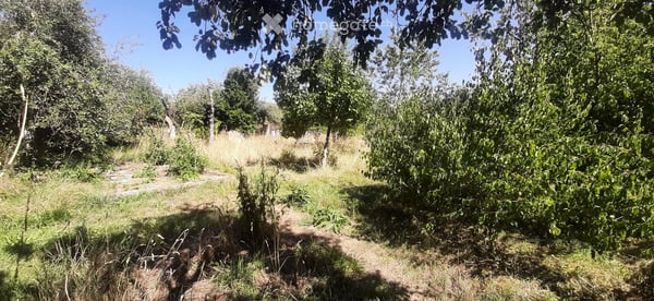 Appartement à Baulmes 30