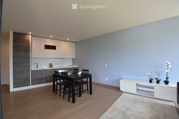 Appartamento con terrazza a Davesco-Soragno – Moderno e luminoso 10