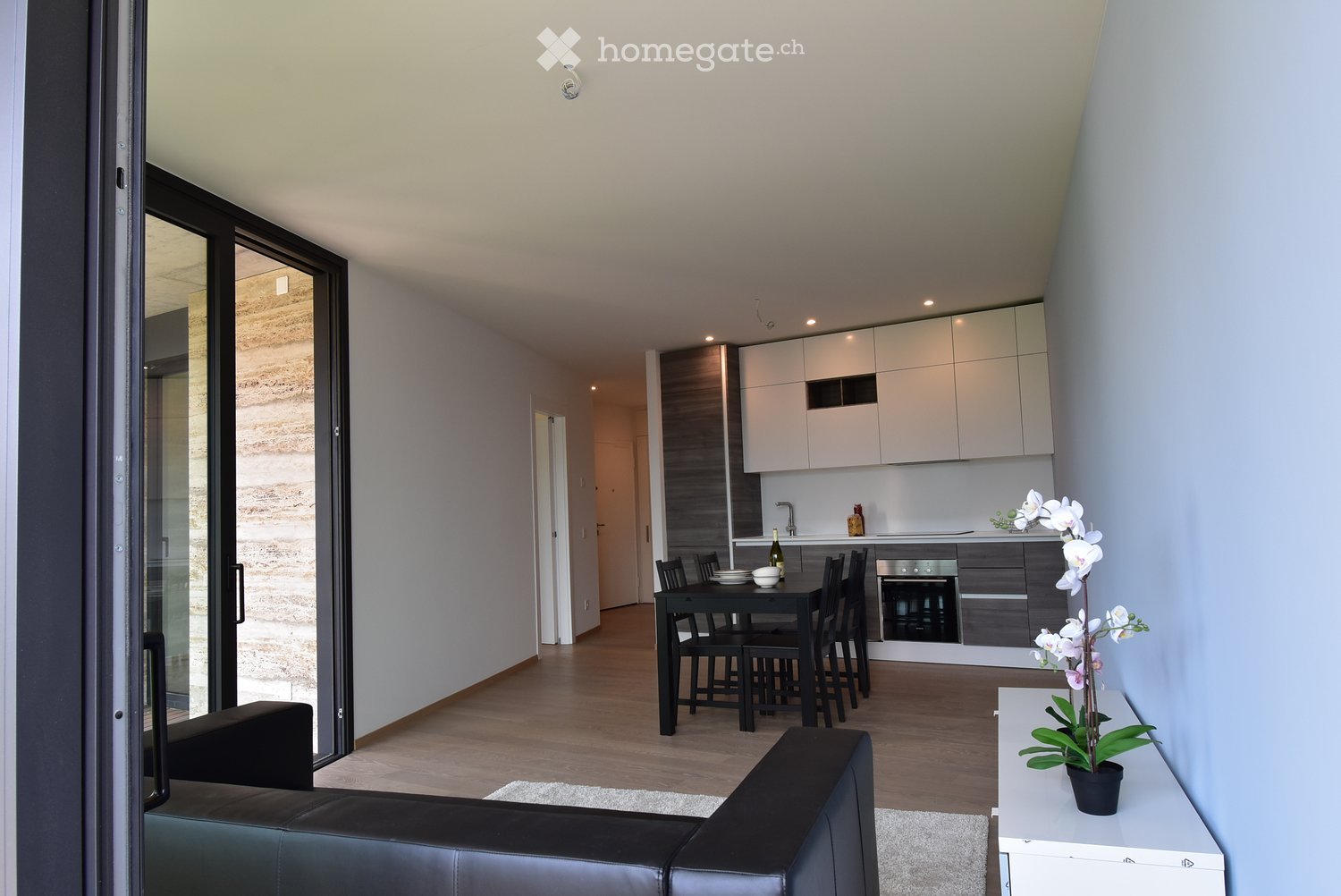 Modern open-plan living and dining area with a black leather sofa, a dining table with chairs, a small flower pot on a white side table, and a sleek kitchen with white cabinets and stainless steel appliances.